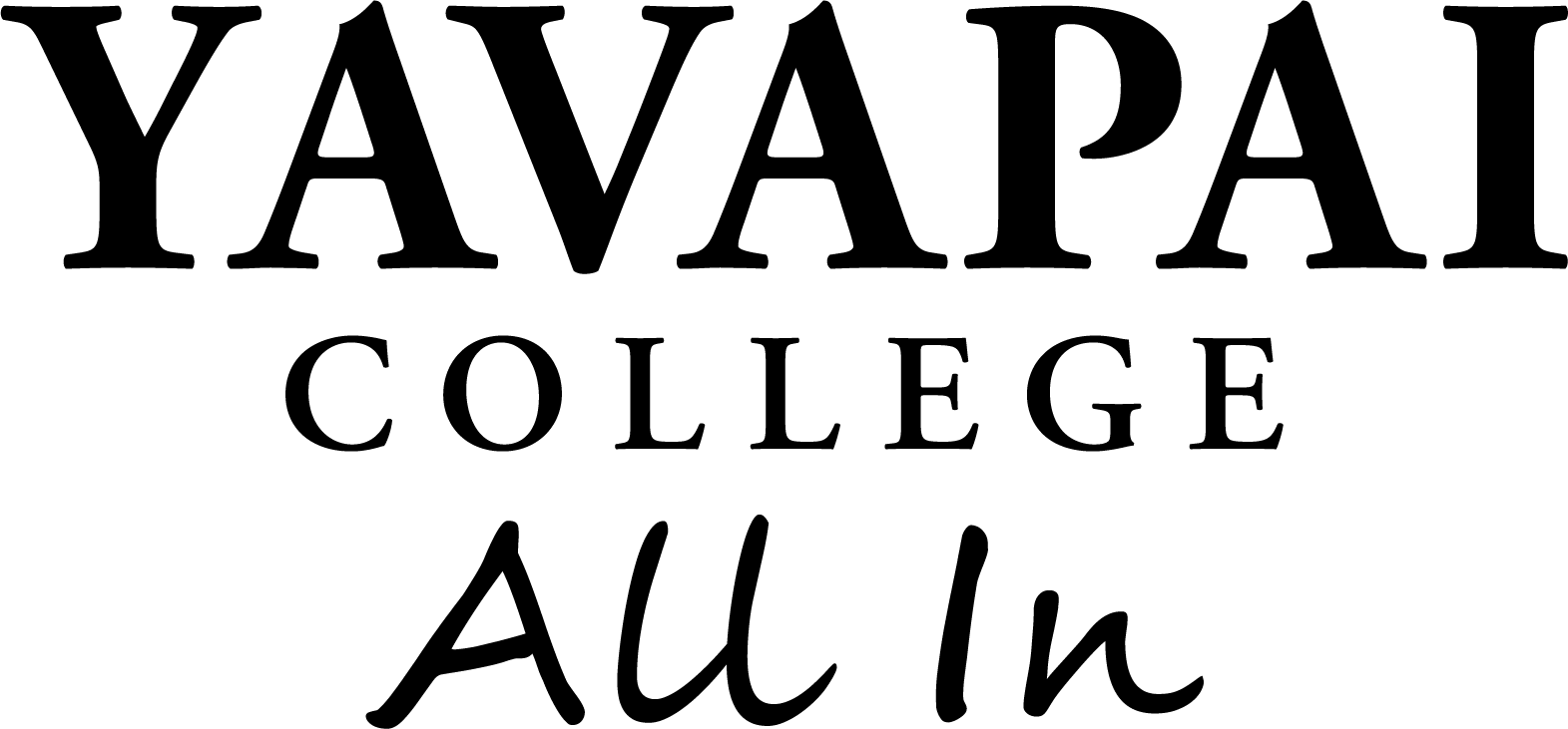 YC triangle logo preview