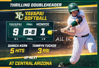 Softball collage